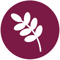 logo tarwe