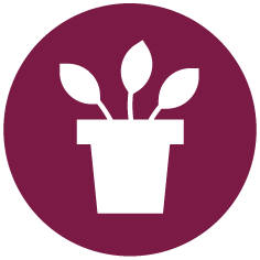 logo vegetariërs